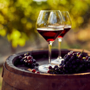 Prodigio Del Sole Primitivo Puglia IGP